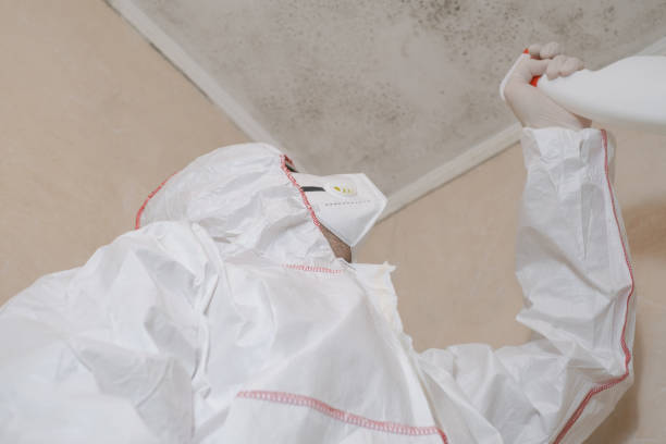 Best Mold Testing and Inspection Services in Alamo, TN