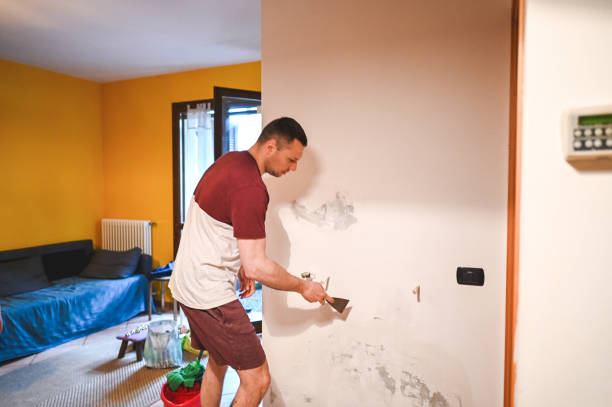 Best Commercial Mold Remediation in Alamo, TN